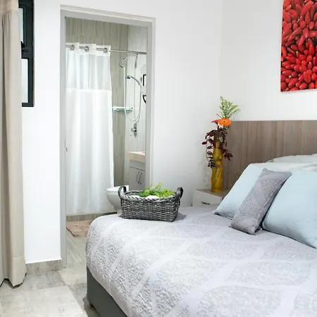 Casa Carmelia La Condesa Apartment Mexico City Exterior photo