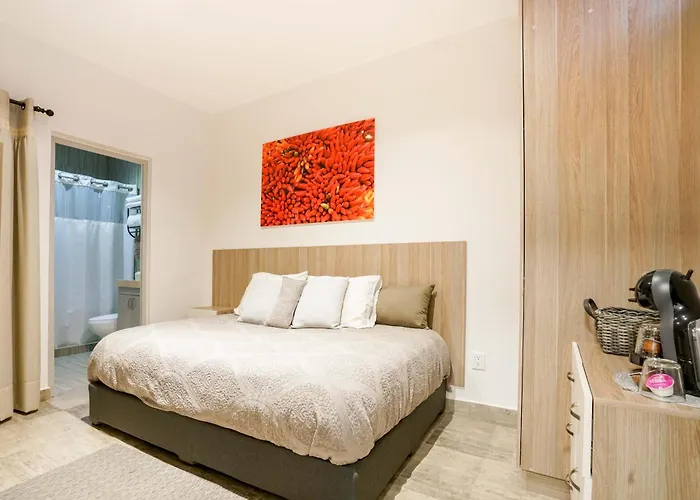 Casa Carmelia La Condesa